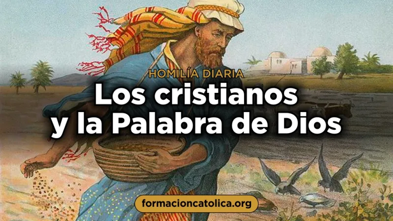 Los cristianos y la Palabra de Dios