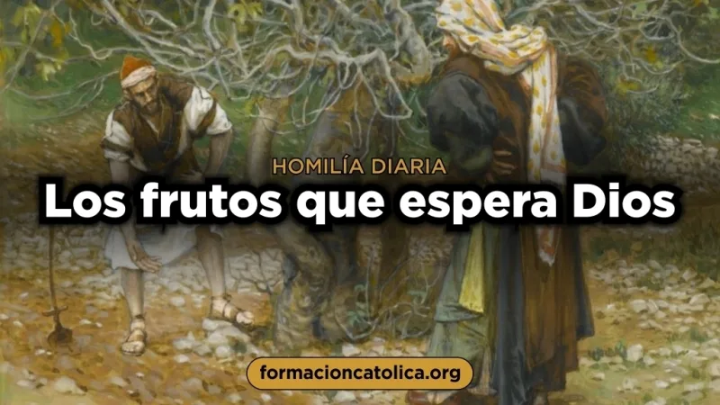 Los frutos que espera Dios