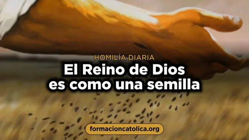 El Reino de Dios es como una semilla
