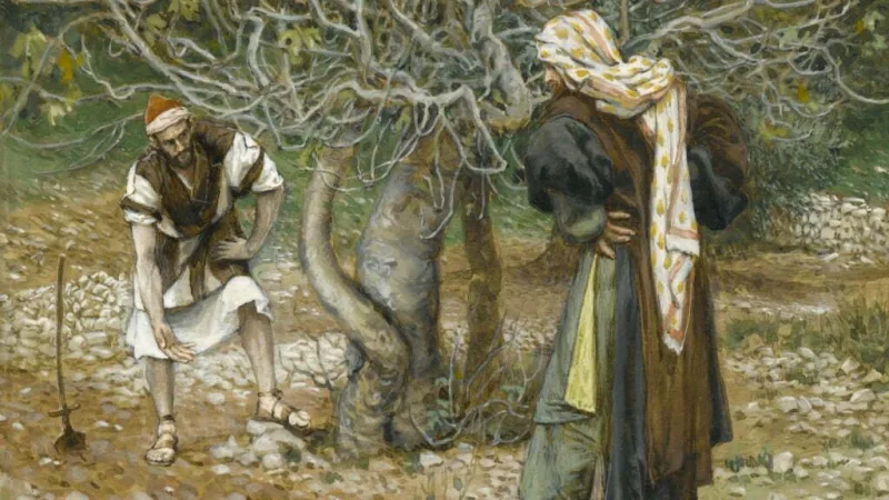 La higuera estéril