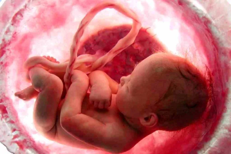 Si más mujeres vieran las ecografías de sus bebés, más mujeres rechazarían el aborto