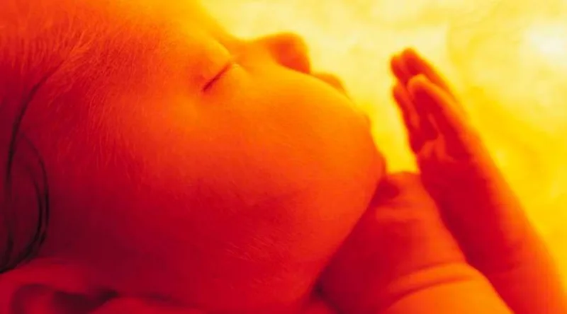Aborto en Argentina: Iglesia pide seguir luchando por la dignidad de toda vida humana