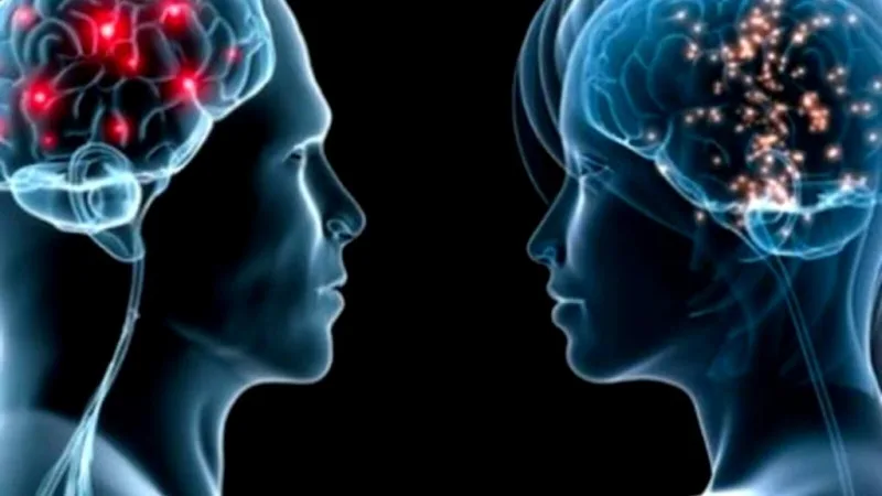 Cómo funciona el cerebro de la mujer y del cerebro de varón