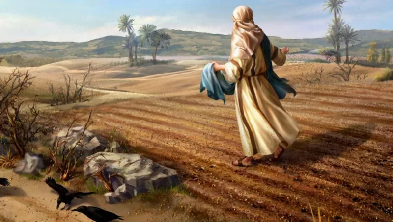 ¿Por qué la Palabra de Dios no da fruto en mí?
