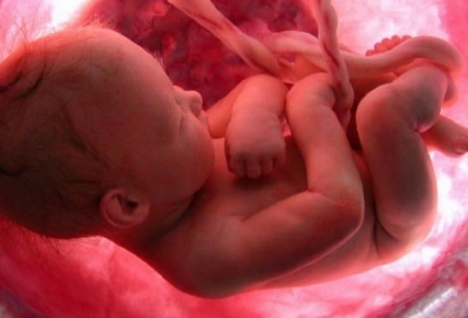 Dramático testimonio de un residente de pediatría: la víctima de un aborto que nació viva