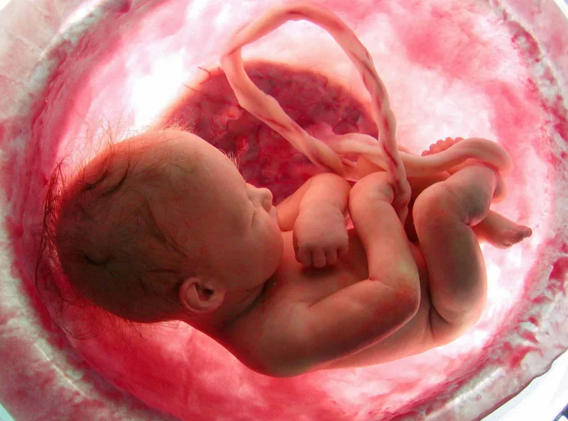 La espiral de silencio sobre el aborto