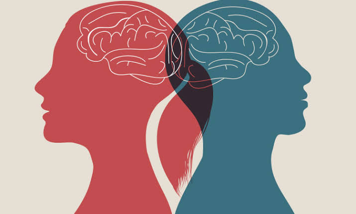 Cómo funciona el cerebro de la mujer y el cerebro del varón