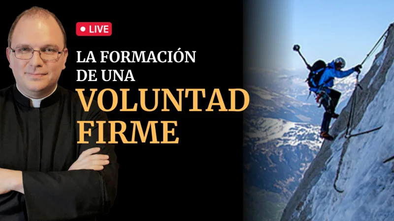 La formación de una voluntad firme
