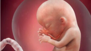 Dramático testimonio de un residente de pediatría: la víctima de aborto que nació viva y debía morir