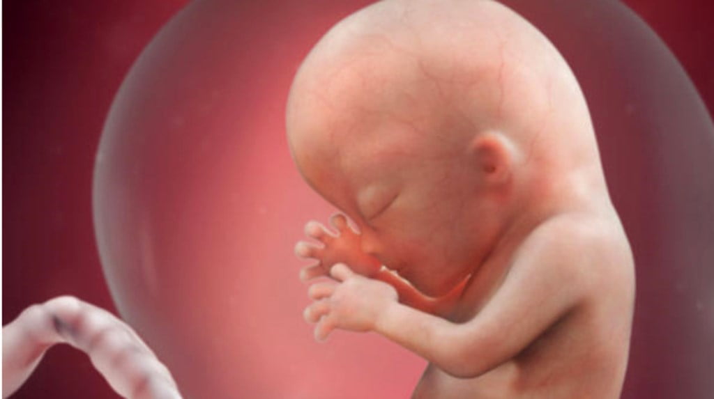 Dramático testimonio de un residente de pediatría: la víctima de aborto que nació viva y debía morir