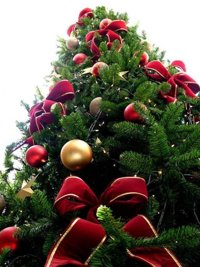 Arbol de navidad - El Árbol de Navidad: su origen y sentido cristiano