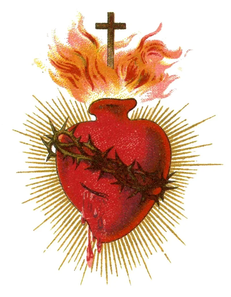 elementos del SCJ - Significado de la imagen del Sagrado Corazón